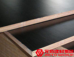 木模板的材料有哪些？各自有什么特點(diǎn)？